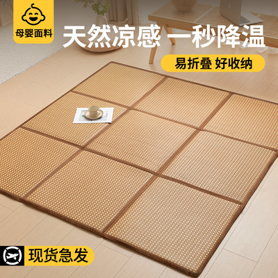 夏季可折叠榻榻米床垫遮盖物新款租房专用海绵软垫地垫睡觉打地铺