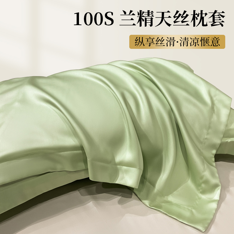 高端天丝夏季枕套双面真丝一对装冰丝凉感整套48x74cm枕芯内胆套