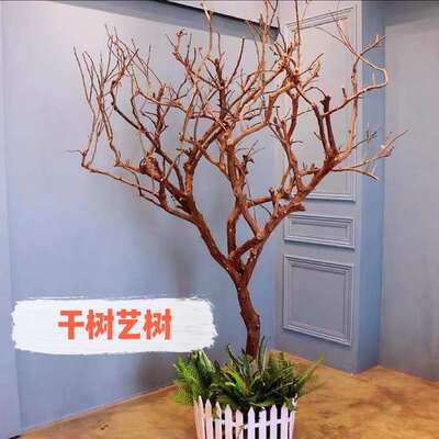 白色干树枝造景干枝树干许愿树枯树室内造型树枝干原木树枝装饰树
