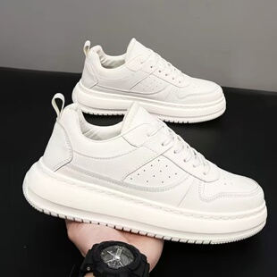 高低潮流板鞋 彩绘蛇年休闲时尚 fz12.22 60款 2025