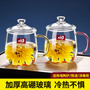 青苹果大容量带盖杯子家用喝水杯女耐高温玻璃带茶漏把杯男泡茶杯