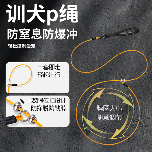 狗绳防水防咬防爆冲防缠绕防窒息