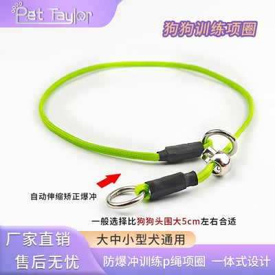 狗狗项圈专业训练狗p链