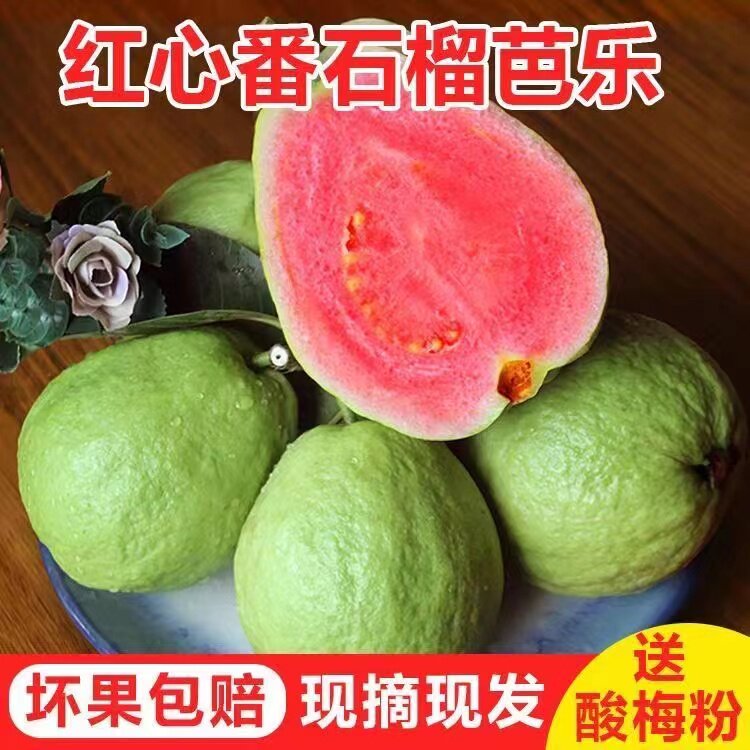 【狂欢价】广东红心硬脆芭乐新鲜水果番石榴土芭乐硬香鸡屎果脆口