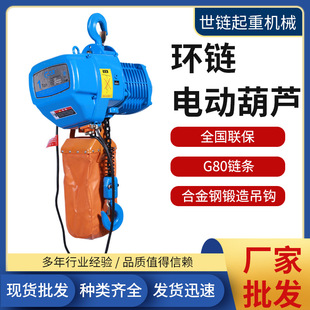 固定运行式 环链电动葫芦380v一吨6米2T3T5T9M电动葫芦 鬼头款