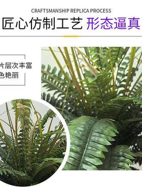 仿波斯草蕨类绿植造景地插厅02688真叶波草植假树叶把束装饰客物