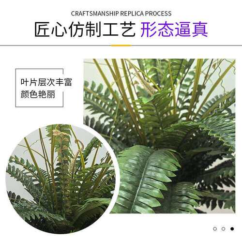 仿波斯草蕨类绿植造景地插厅02688真叶波草植假树叶把束装饰客物