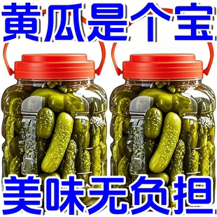 酸黃瓜低脂酸黃瓜下飯菜酸黃瓜小青瓜泡菜34罐更劃算 酸黃瓜俄式