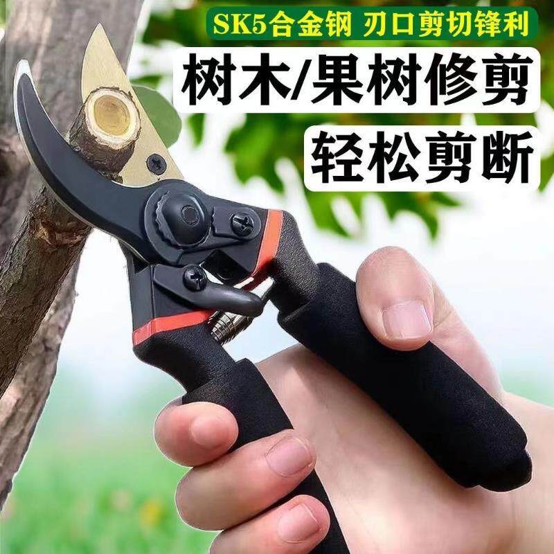 德国精品修枝剪园艺剪SK5钢强力省力园林花木果树嫁接剪专用工具