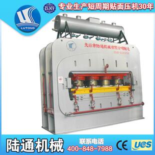 无锡陆通机械 全自动贴面热压机 LT4*8密度板贴面压机 压机厂家