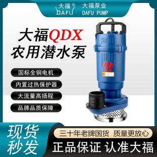 中国大福潜水泵家用抽水泵小型高扬程水泵农用大流量灌溉清水泵