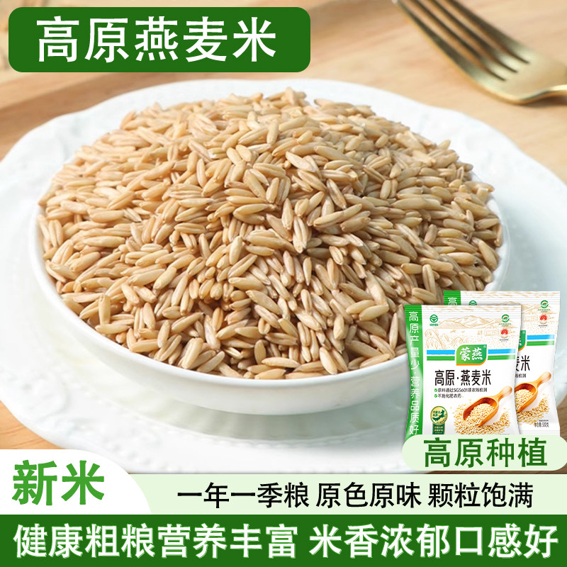 内蒙古全胚芽燕麦米粗粮燕麦米内蒙古乌兰察布全胚芽燕麦米燕麦仁图片