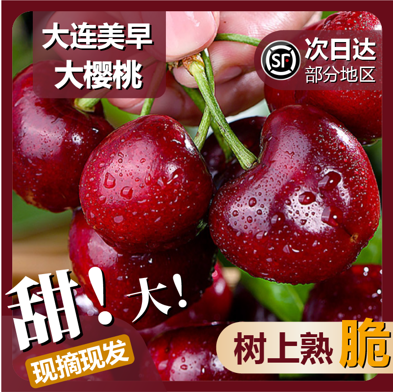 大连美早大樱桃顺丰空运