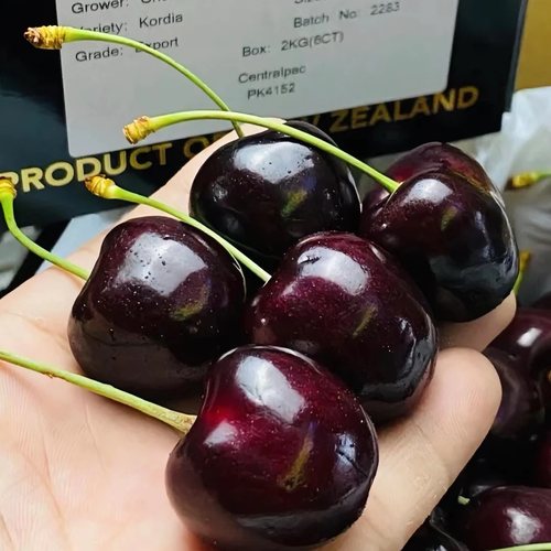 空运科迪亚Kordia车厘子