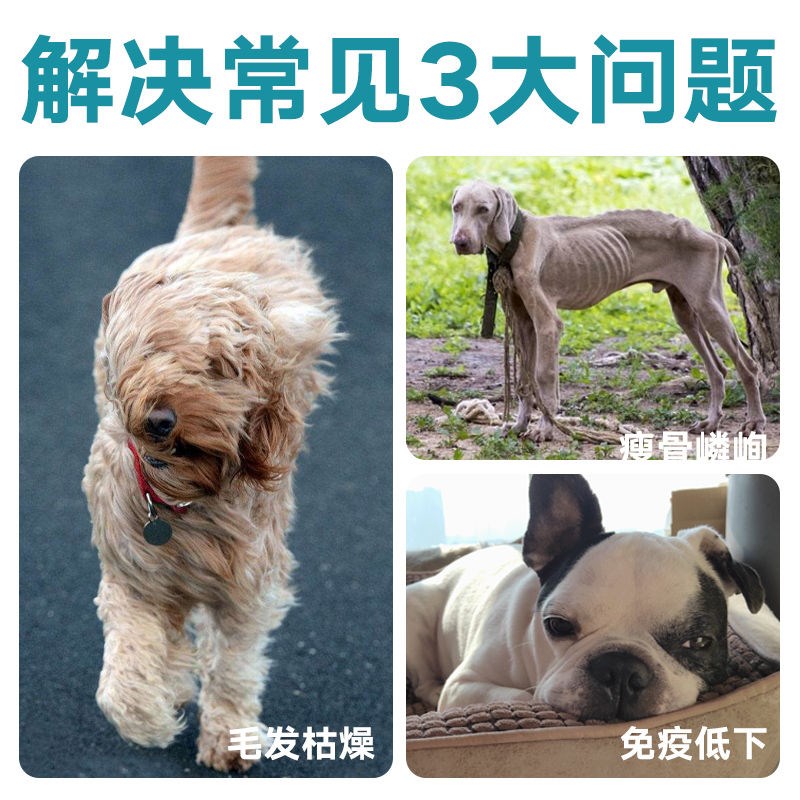 拉布拉多专用粮金毛哈士奇萨摩耶马犬5斤20斤40斤成幼犬通用狗粮