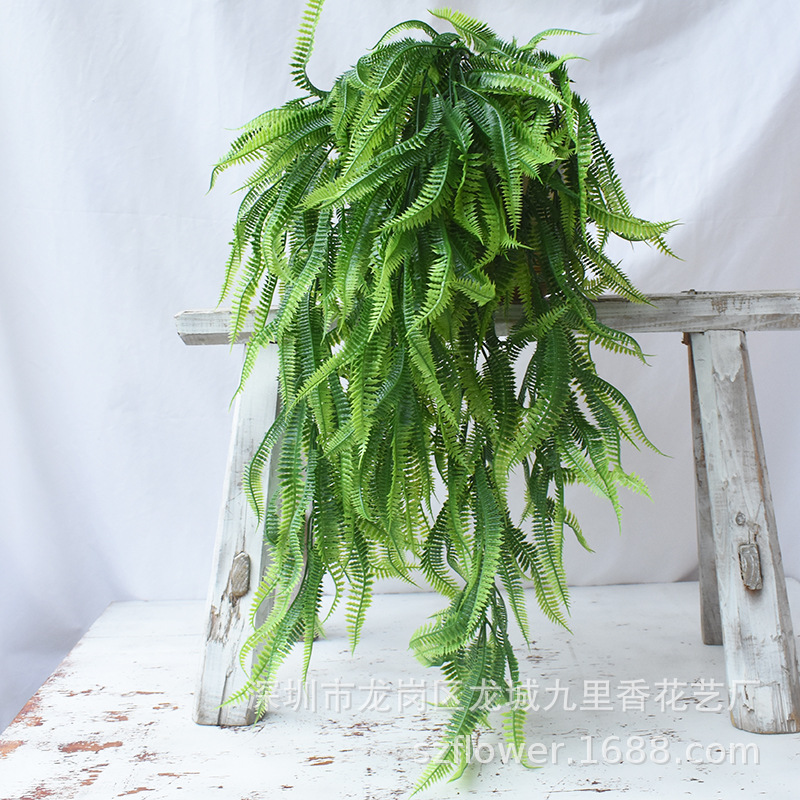 仿真草壁挂5叉水龙波斯草蕨草壁挂植物墙配材塑料草藤蔓