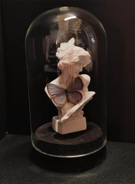 真蝴蝶艺术玻璃罩摆件妩灰蝶标本小灰蝶雕塑小众手工收藏礼物