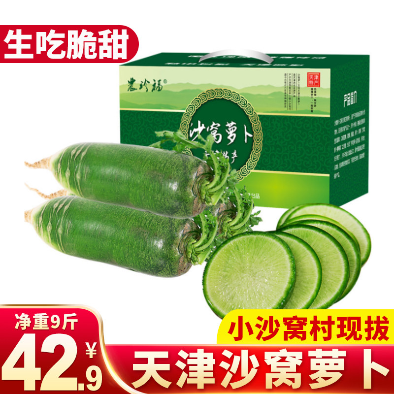 农珍福天津沙窝萝卜正宗水果萝卜新鲜脆甜水果型青萝卜现拔现发