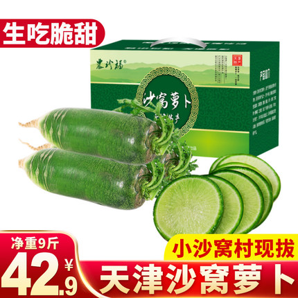 农珍福天津沙窝萝卜正宗水果萝卜新鲜脆甜水果型青萝卜现拔现发