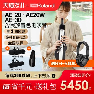 Roland罗兰电吹管乐器AE20老年人娱乐初学AE30电萨克斯吹管ae10