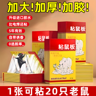 柚无疆老鼠贴强力粘鼠板家用扑捉灭鼠神器全窝端超强力胶粘大老鼠