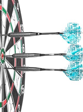 CyeeLife 26g镖筒针式飞镖3支装套装  飞镖配件铝杆尾翼配件齐全