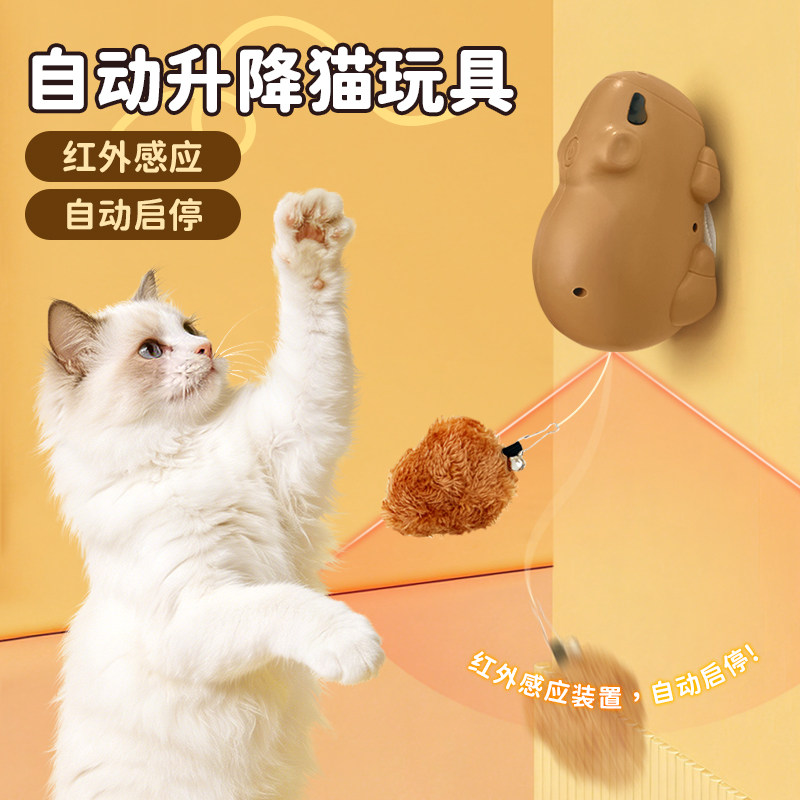 宠物智能自动升降猫玩具水豚升降逗猫球消耗体力自嗨解闷猫玩具,宠物/宠物食品及用品,宠物智能玩具,淘宝优惠券,粉丝福利购,淘宝优惠卷