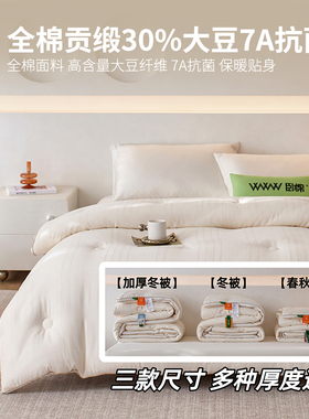 WWW学生宿舍全棉30%大豆被7A抗菌春秋冬被单人保暖子母被芯B0004