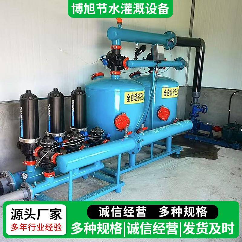 大棚园林绿化自动清洗过滤农用双砂石过滤器全自动砂石过滤器