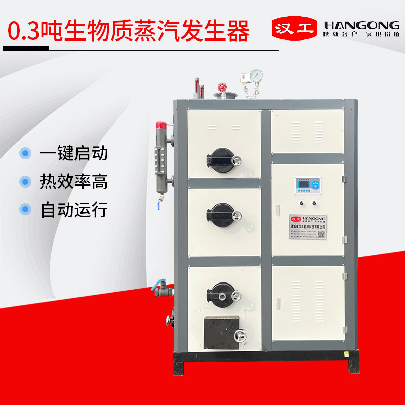 立式全自动蒸汽锅炉 生物质颗粒蒸汽设备 0.3吨生物质蒸汽发生器