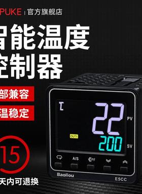 温度控制器DE5CCRX2ASM-800 E05C洛普科C-QX2-ASM-80/880温控仪PI