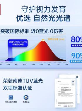 德国柏曼日光2.灯0灯卧室顶儿童房全光谱护眼 智吸PCO20603能超薄