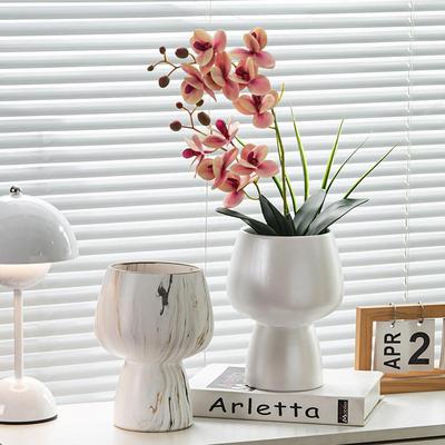 北欧轻奢高级感极简风蝴蝶兰花盆