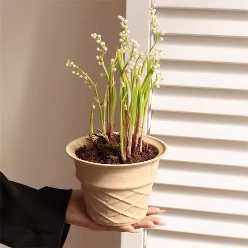 送礼冰淇淋甜筒花盆高颜值ins风