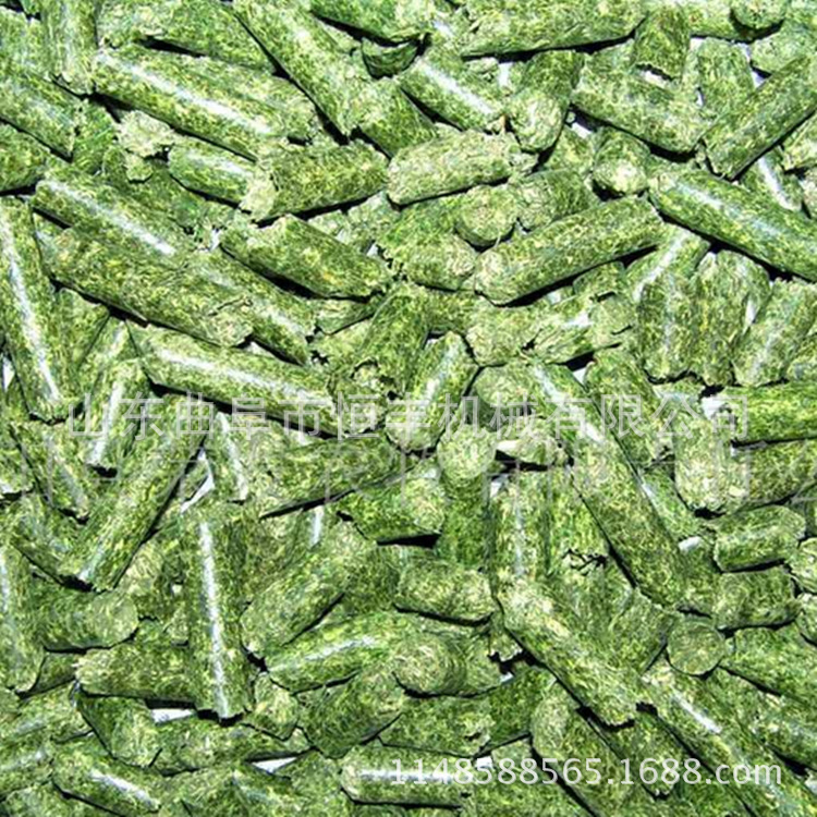 鸡饲料颗粒机 鱼饲料颗粒机 鹅饲料颗粒机 大型环模饲料颗粒机