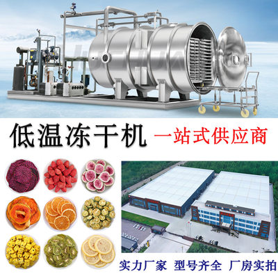 厂家供应宠物粮冻干设备鸡胸肉颗粒真空冻干机三文鱼真空冷冻干燥