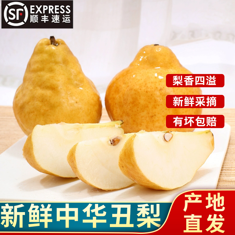 山东烟台中华丑梨4.5斤装  新鲜采摘软梨丑梨软糯太婆梨顺丰到家