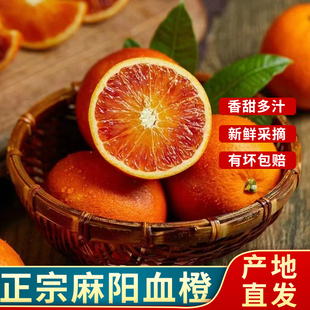 正宗麻阳血橙 新鲜采摘塔罗科血橙红心果冻橙子玫瑰香雪橙酸甜