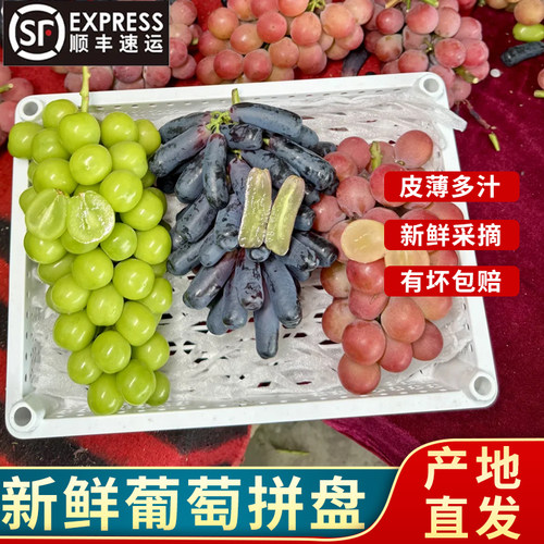 顺丰到家新鲜葡萄拼盘 现摘葡萄妮娜皇后葡萄拼盘脆甜多汁水果
