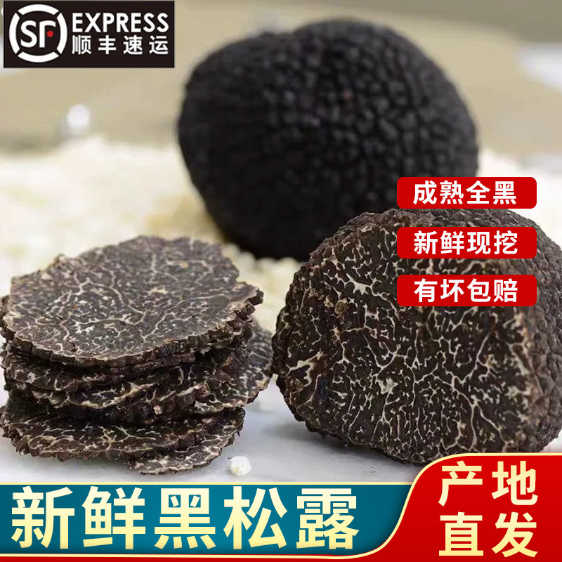 顺丰到家云南特产黑松露500g  新鲜采挖成熟全黑猪拱菌黑松露块菌,水产肉类/新鲜蔬果/熟食,新鲜松茸/菌菇,淘宝优惠券,粉丝福利购,淘宝优惠卷