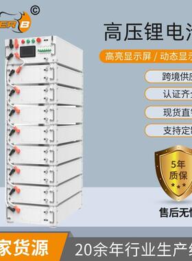 太阳能光伏逆变器 高压储能 磷酸铁锂电池组 512V100AH 50KWH
