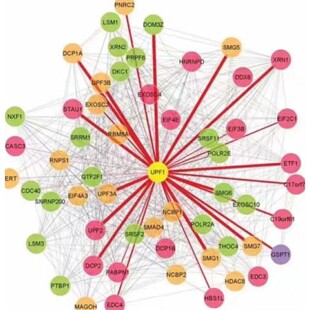 分子对接虚拟库筛选 千万级化合物 高通量 苗头化合物发现 药物研