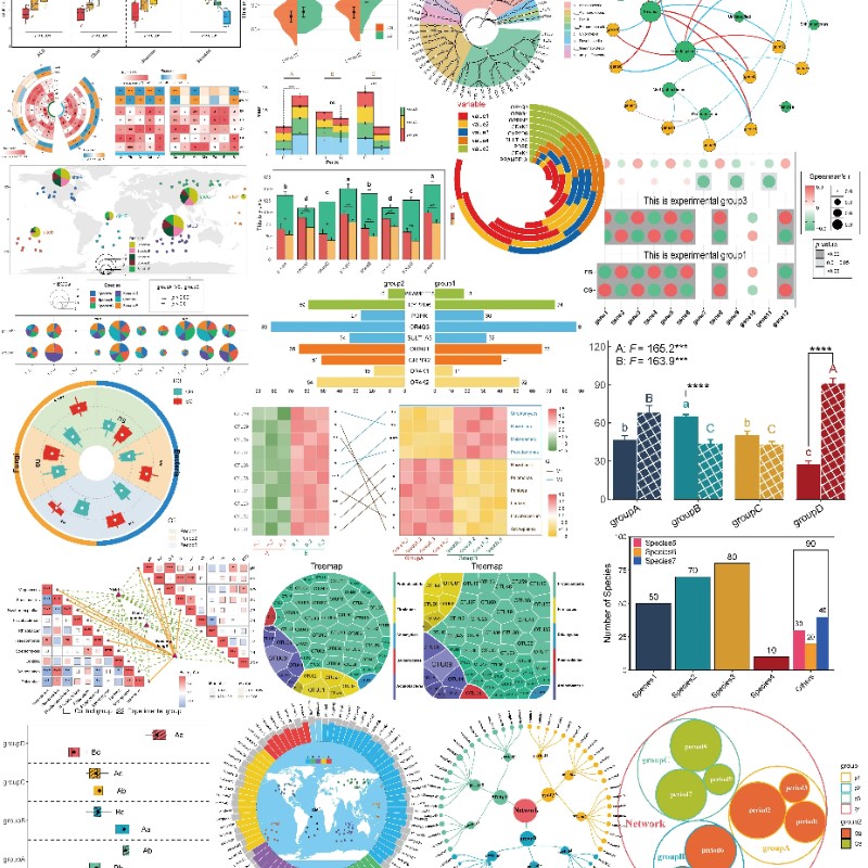 Python或R语言绘图数据分析可视化定制热图森林图ROC曲线柱形饼状