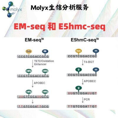 甲基化测序数据分析(WGBS、oxBS-seq、EM-seq、(E5hmc-seq)