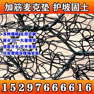 内蒙古加筋麦克垫河道治理土工网河道护坡生态绿化喷播三维植被网