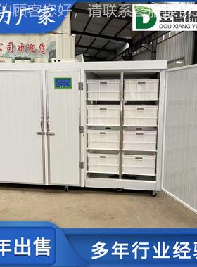 自动豆机控机制器价格芽 豆芽生产线全UIQ联系人 购机器免费教技