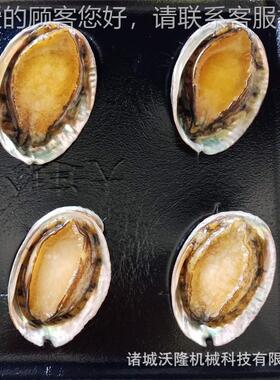 蘑菌类真空贴菇体装机水海产包品贴体包装机NXZ鲜鲅鱼明虾贴体包