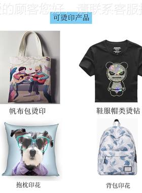 8X8手画动美高压摇DS88头烫画机 T恤服装烫画摇头机 帝森平式板烫