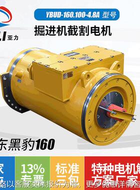 山东黑豹掘进机电机马达 YBUD-160.100-4.8A隔爆型三相异步电动机