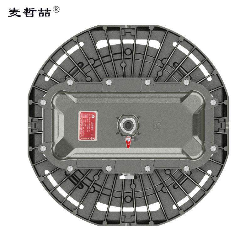 麦哲喆®MLBF8119M-1道路灯具/智慧路灯/